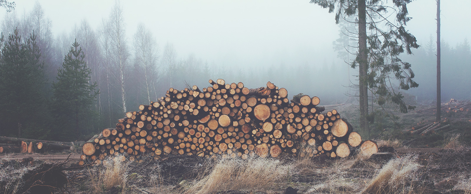 网页DDOS攻击平台